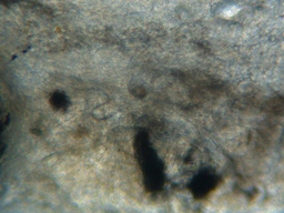 fig.02 Ǔe