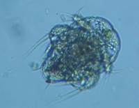 fig.04 不詳