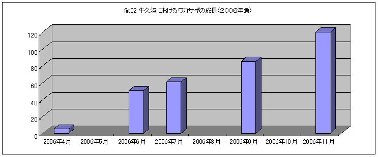 fig.02 牛久沼における、ワカサギの成長（２００６年魚）その３