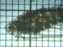 fig.01 qQiKP~WR