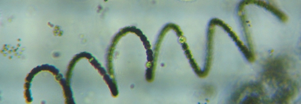 fig.05 Aixi