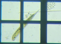 fig.05 ~hV