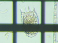 fig.04 u^yXgc{V