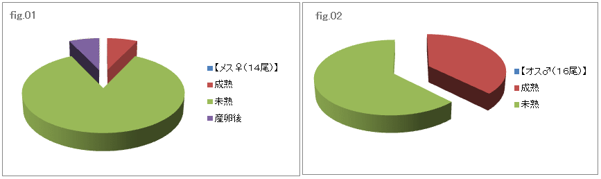 某水体における、ワカサギ成熟度解析結果グラフ