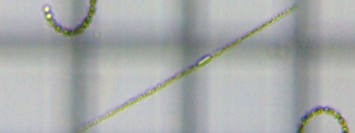 fig.10 Aixi