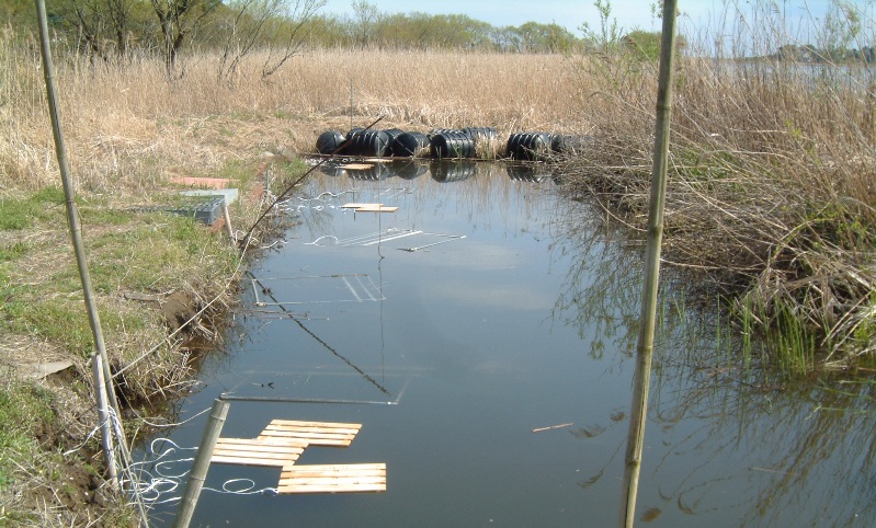 fig.03 産卵床設置状況