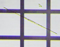 fig.12 Vlhi]j