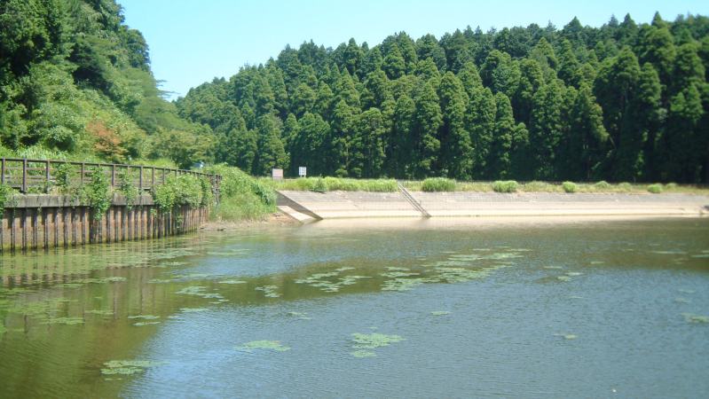 fig.00 丑ケ池(大池)