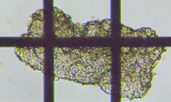 fig.17 s
