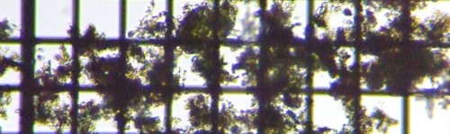 fig.18 fg^X