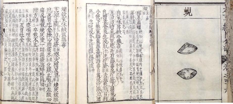 fig.04 w{jځx́u儁v