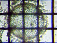 fig.09 {{bNX