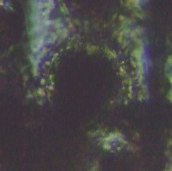 fig.10