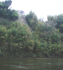 滝・シャロー・サンドバー・インレット（流入部）・座礁・立木・
沖目フラット・ベイトフィッシュ・崖崩れ・横穴・ベジテーション