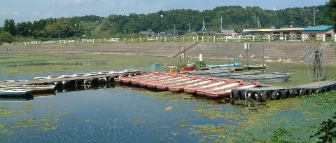 ２００３年０８月２８日撮影
桟橋周辺に、ガガブタ・マツモ・ヒシが大繁殖しています