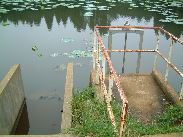 蓮池の取水口・水門、左のＵ字溝は大池へのアウトレット