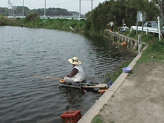 中沼のヘラブナ釣り